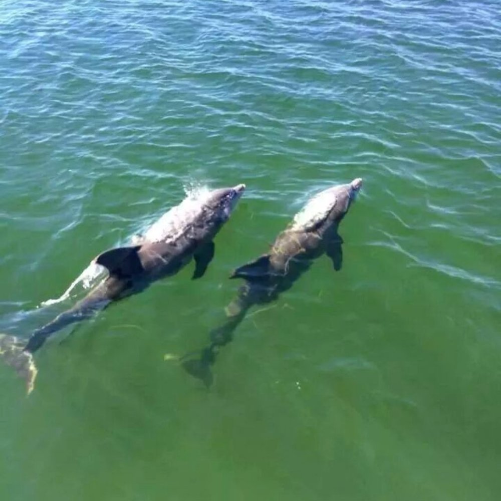 Make me an offer!  No reasonable offer refused!